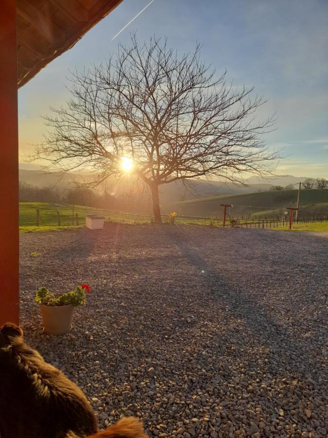 Gite A La Ferme Larranda Suhescun エクステリア 写真